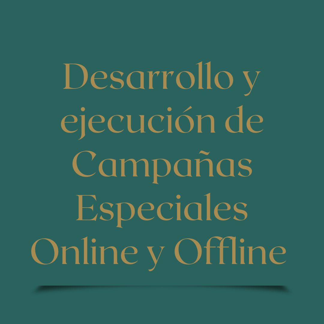 Desarrollo y ejecución de Campañas Especiales Online y Offline