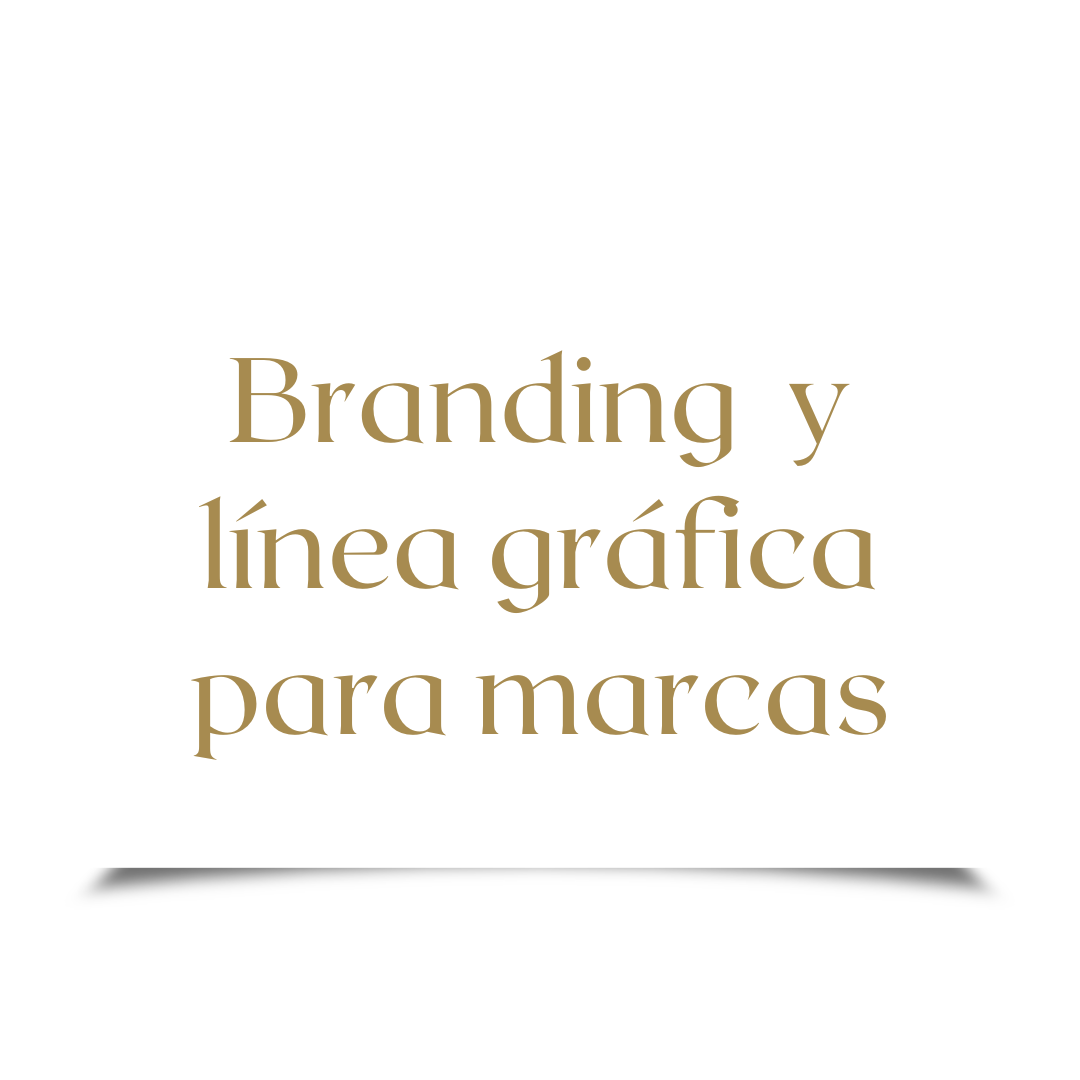 branding y linea graficas para marcas